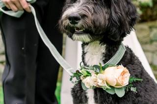 Bridal Bouquets By Jill - 8