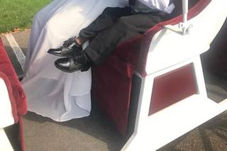 Carriage Limousine Service - Horse Drawn Carriages - 10