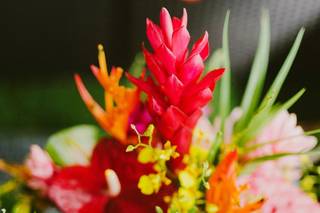 Bliss in Bloom - Big Island of Hawaii - 55