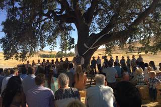 ALMOND SPRINGS - 48