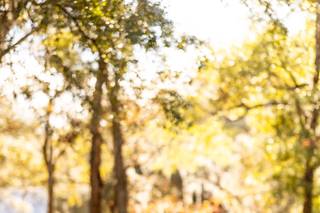 Brittany Morgan Photography - 57