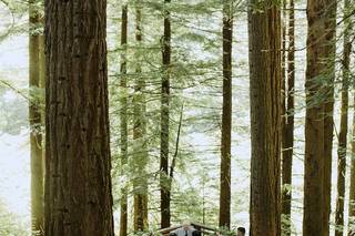 Alixann Loosle Photography - 28