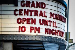 Olive Grove Photo - 12