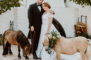 Victoria Gold Photography - 23
