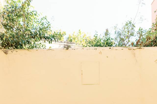 Vanessa Velez Photography 4