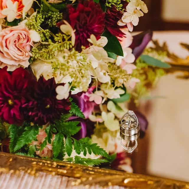 Jessica Lynn Photography - 3