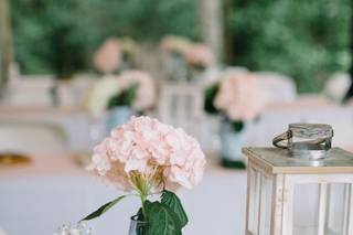 Kristin Coulter Designs - 9