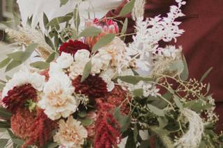 Allison Nicole Photo LLC - 8