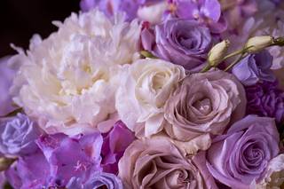 Mountain Florals - 6