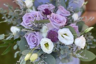 Harrington Flowers - 39