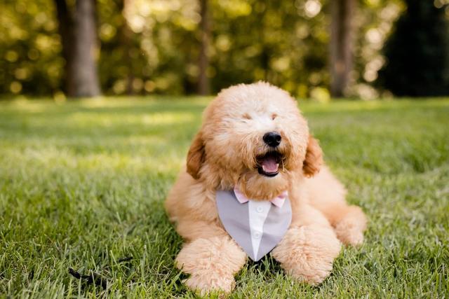 Saved By Grace Photography - 3