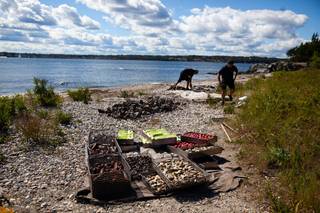 McGrath Clambakes & Catering 5