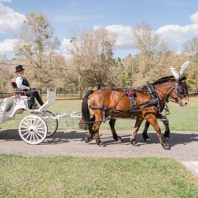 Avalon West Carriage Service - 1