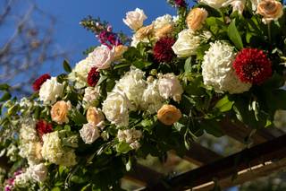 Texas Blooms - 34