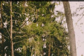 Silverfox Photography & Cinematography - 42