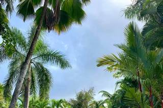 Hau’oli Hiers - 8