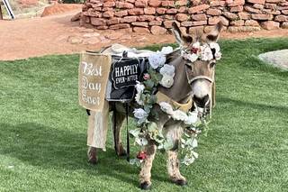 Haul N Ass Productions - 151