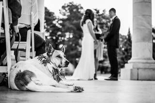 Molimar Molina Photography - 50