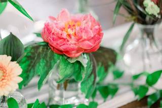 Southern Stems - 14