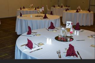 Hilton Garden Inn Raleigh-Cary - 13