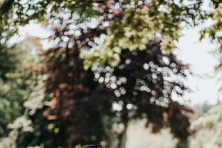 Wiley Putnam Photography - 8