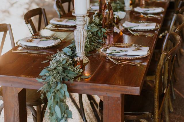 Professional Party Rentals 2