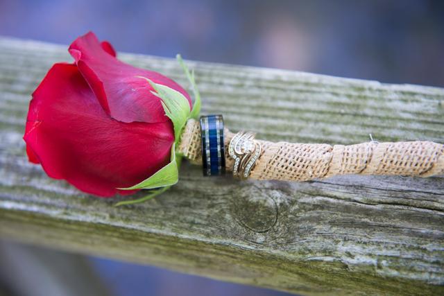 Kara Gwyn Photography - 1