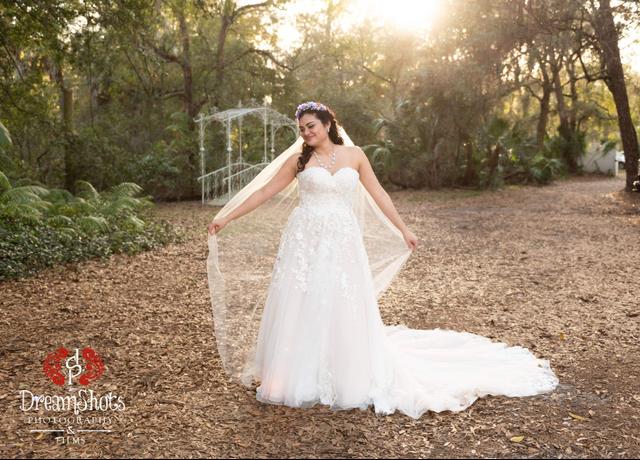 DreamShots Photography Ltd. - 1