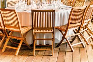 Katydid - 21