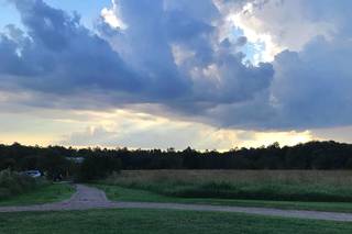 Starlight Meadow - 35