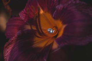 Eugene Novar Photography - 5