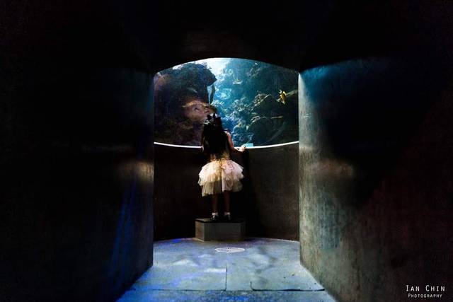 Ian Chin Photography 3