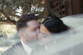 Paul Smith Photography - 7