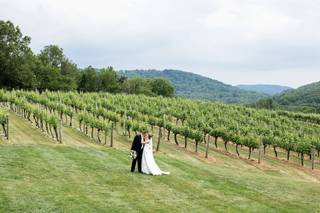 Pippin Hill Farm and Vineyard - 9
