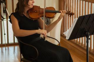 PixieViolin - 22