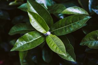 Ellen Sargent Photography - 18