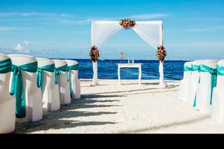 Platinum Label Weddings - 33