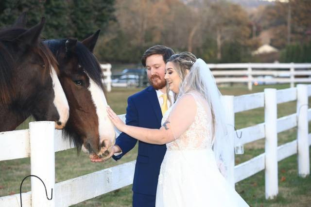 Thomas Farm Weddings & Events 2