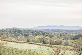 Stone Tower Winery - 84