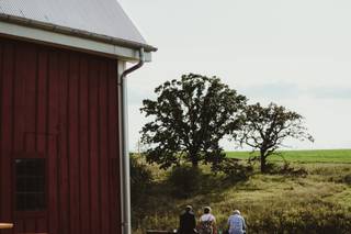 White Oak Savanna - 7