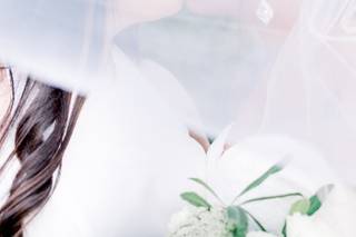 Alison Brynn Photography - 9