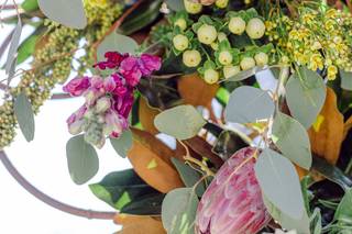 Kendall Criswell Photography - 8