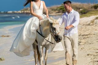 Demian Gibbs Photography - 55