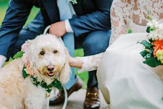 Lauren R Swann Photography, LLC - 10