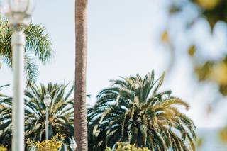Bel-Air Bay Club - 24