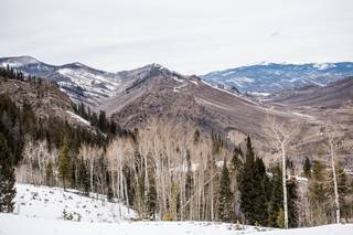 Rocky Mountain Weddings - 13