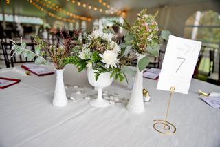 Willow Acres Farm - 5