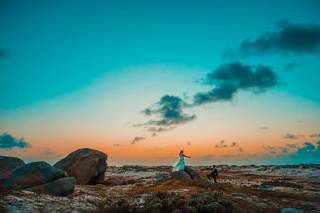 Aruba Photo and Films - 70