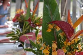 Charming Events Hawaii - 28