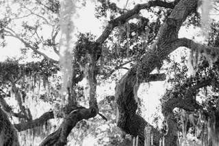 Dewitt for Love Photography - 40
